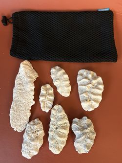 Natural Coral Pieces