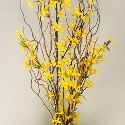 Beautiful Vase With Forsythia Flowers 