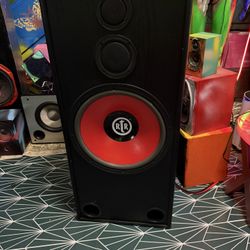 BIC Floor Speaker (single Speaker)