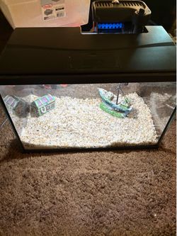 5 Gallon Aquarium Tank with Accessories