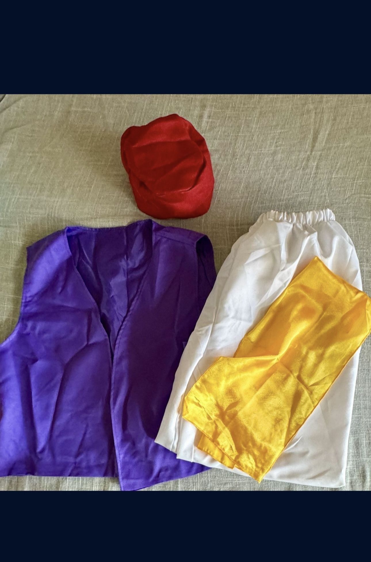 Aladdin Costume