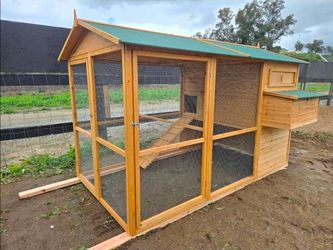 Chicken coop(new)