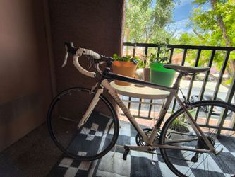 Trek road bike
