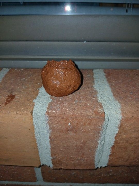 Handmade Clay Pot