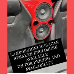 Custom Lambo Speaker Pods