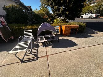 Large dog canopy bed