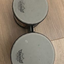 KID REMO drums 