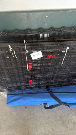 Kennel large