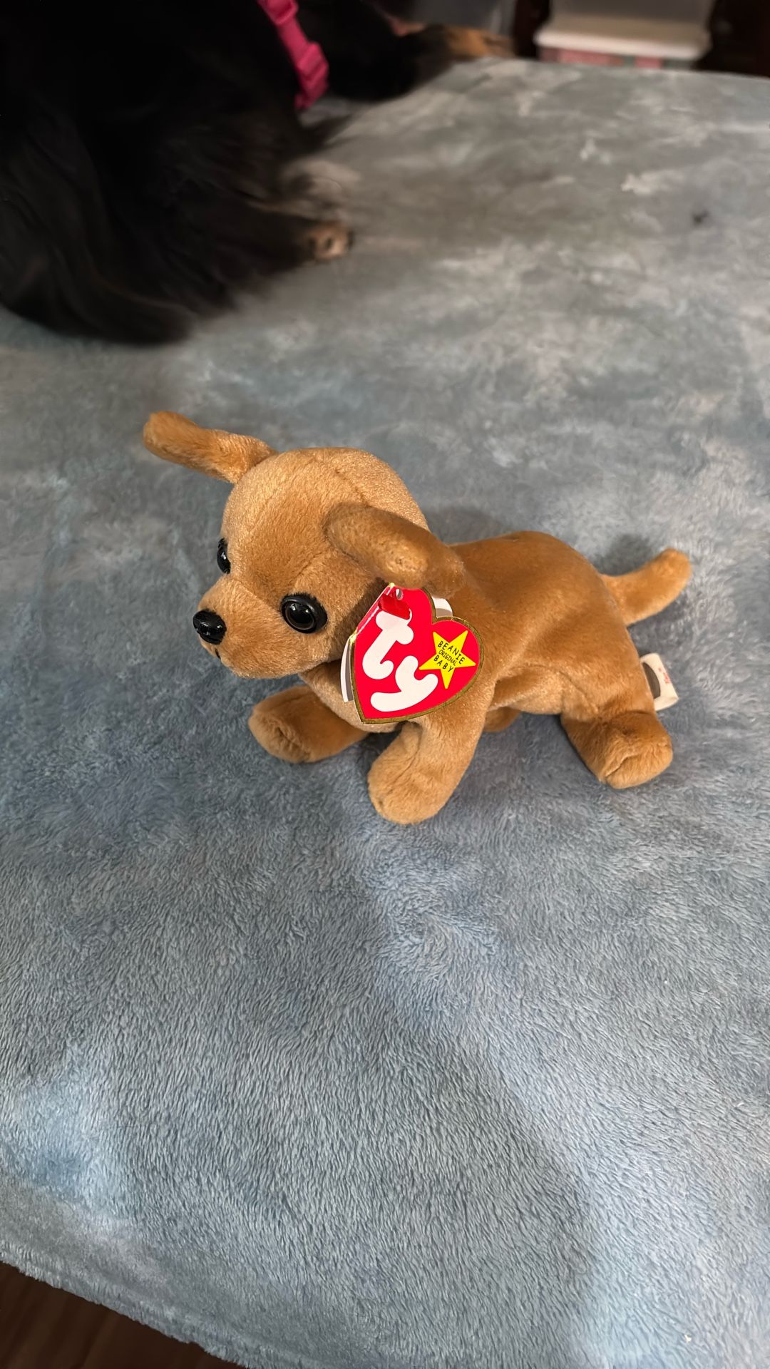 2 Beanie Babies. ..Tiny & Tusk