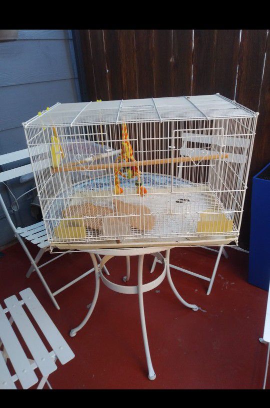 Bird Cage For Sale/Jaula Para Pájaro 