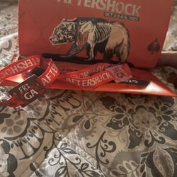 AfterShock 2025 Festival Wristbands