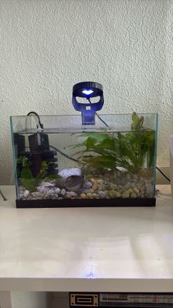 2.5gal Fish tank + Light + Filter + Heater