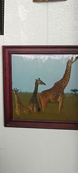 Safari theme