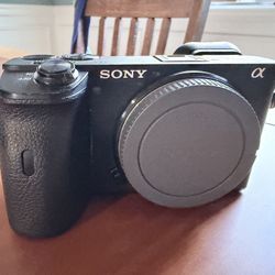 Sony 6600 Camera