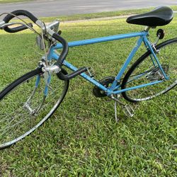 1977 cheap schwinn traveler