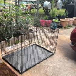 Lg Dog Cage