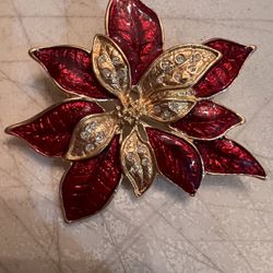 Beautiful Broach