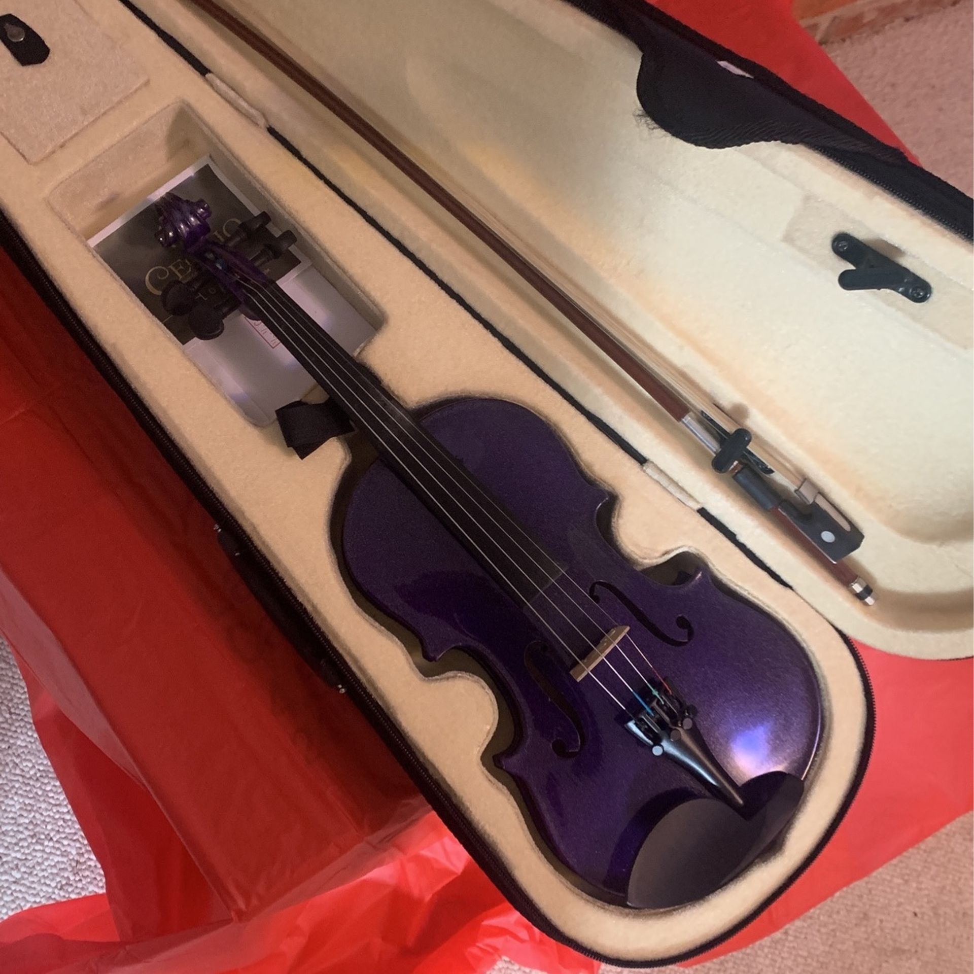 Purple Youth Violin