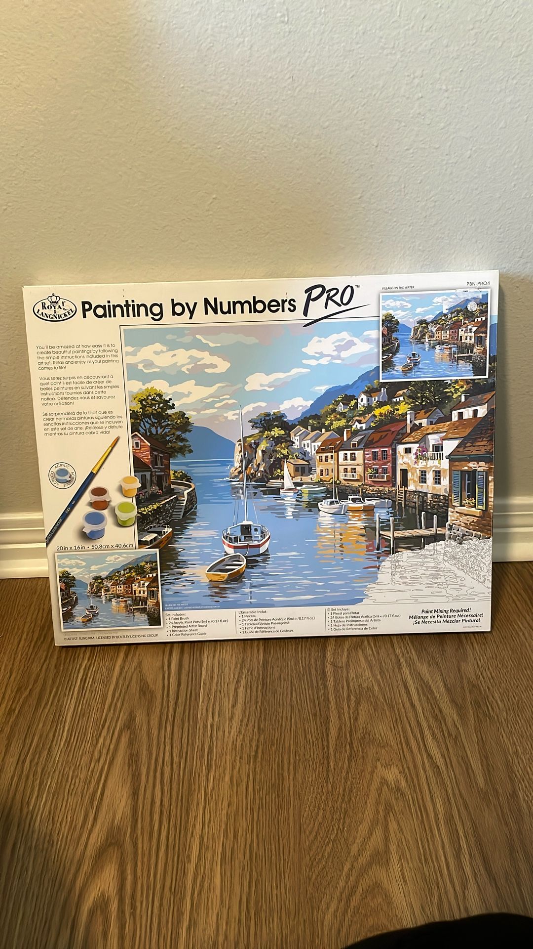 New Paint By Numbers Set