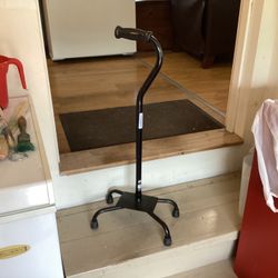 Cane Adjustable ((new )) $25 