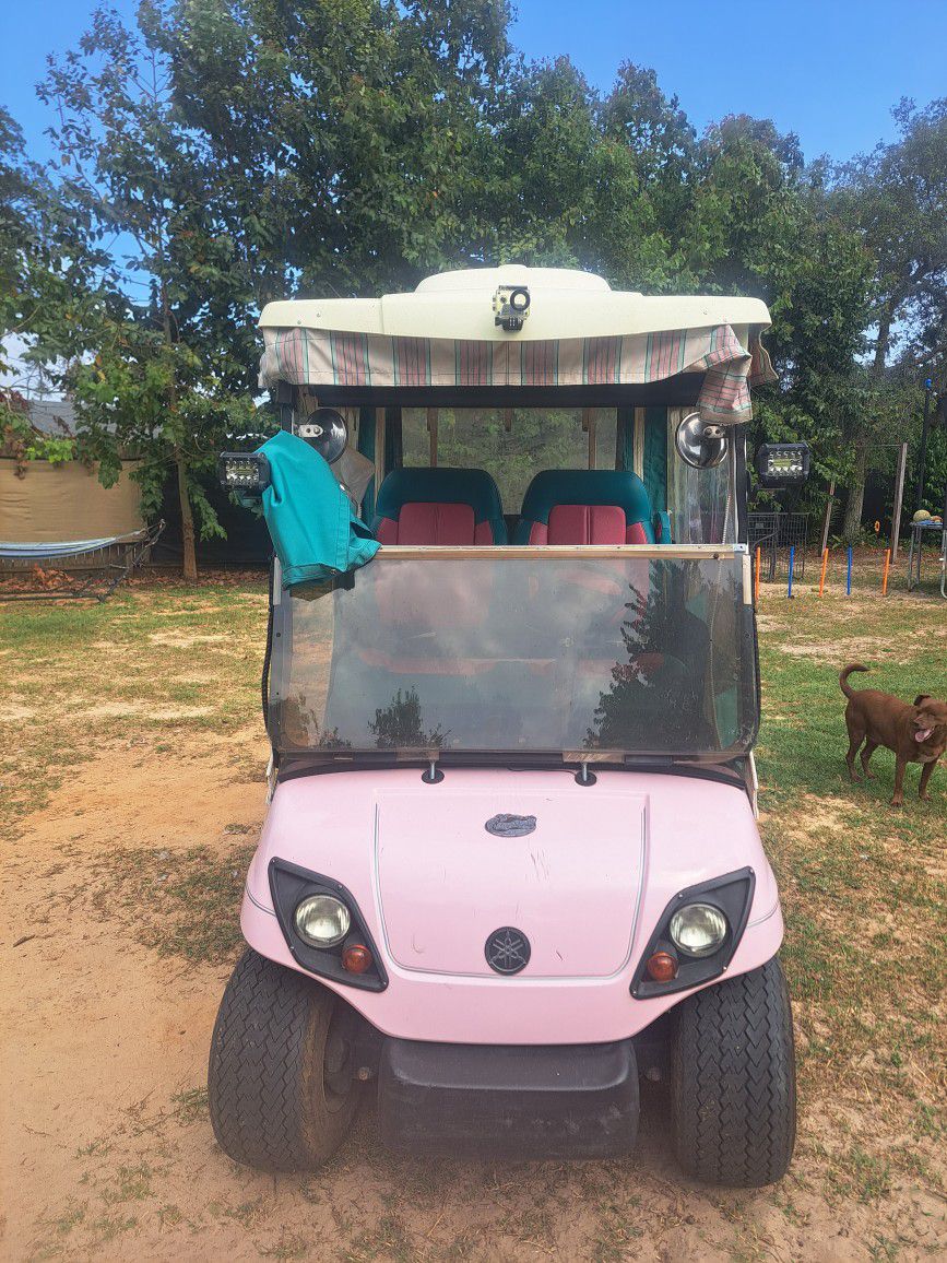 Electric Golf Cart With Charger Seats 2 To 4 People Cushy Seats