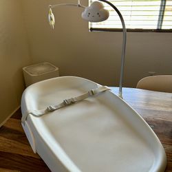 Skip Hop Changing Pad