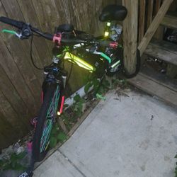 Ebike