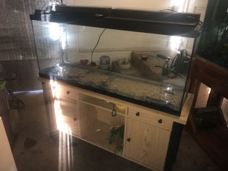 Fish Aquarium