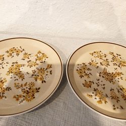 Set Of 2 Vintage Mikasa Japan Colormates Original Dinner Plates Almandine C4802 . 12.5" Overall 