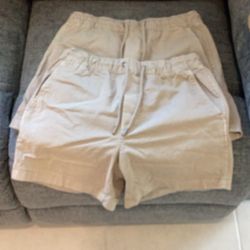 American Eagle Outfitters Shorts (2 Pairs)