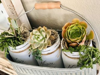 Beautiful succulent arrangement