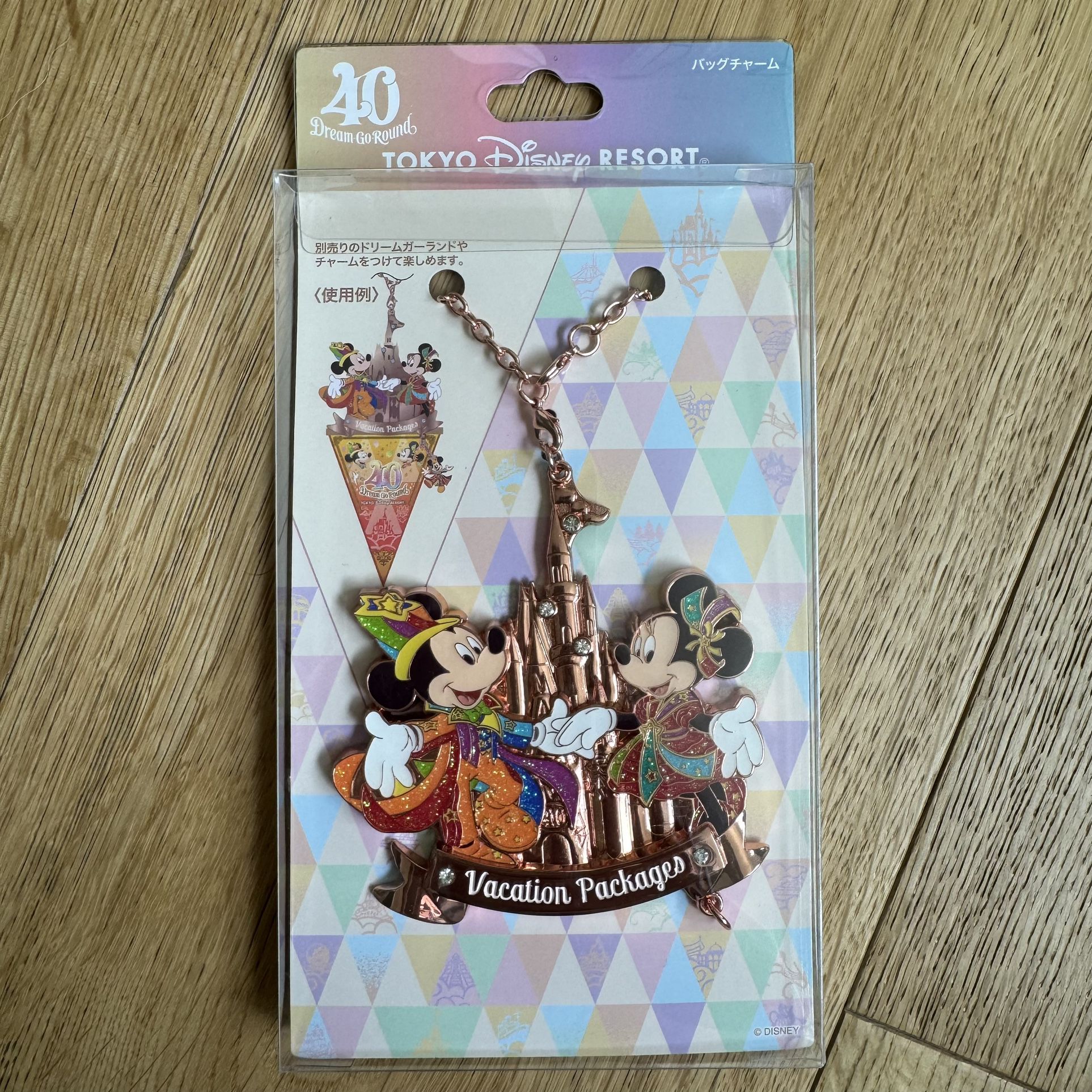 Tokyo Disney Resort 40 Dream Go Around Vacation Packages Large Bag Charm