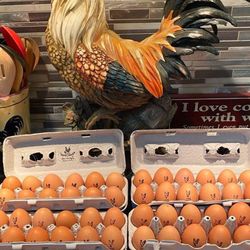 Fresh Organic Eggs