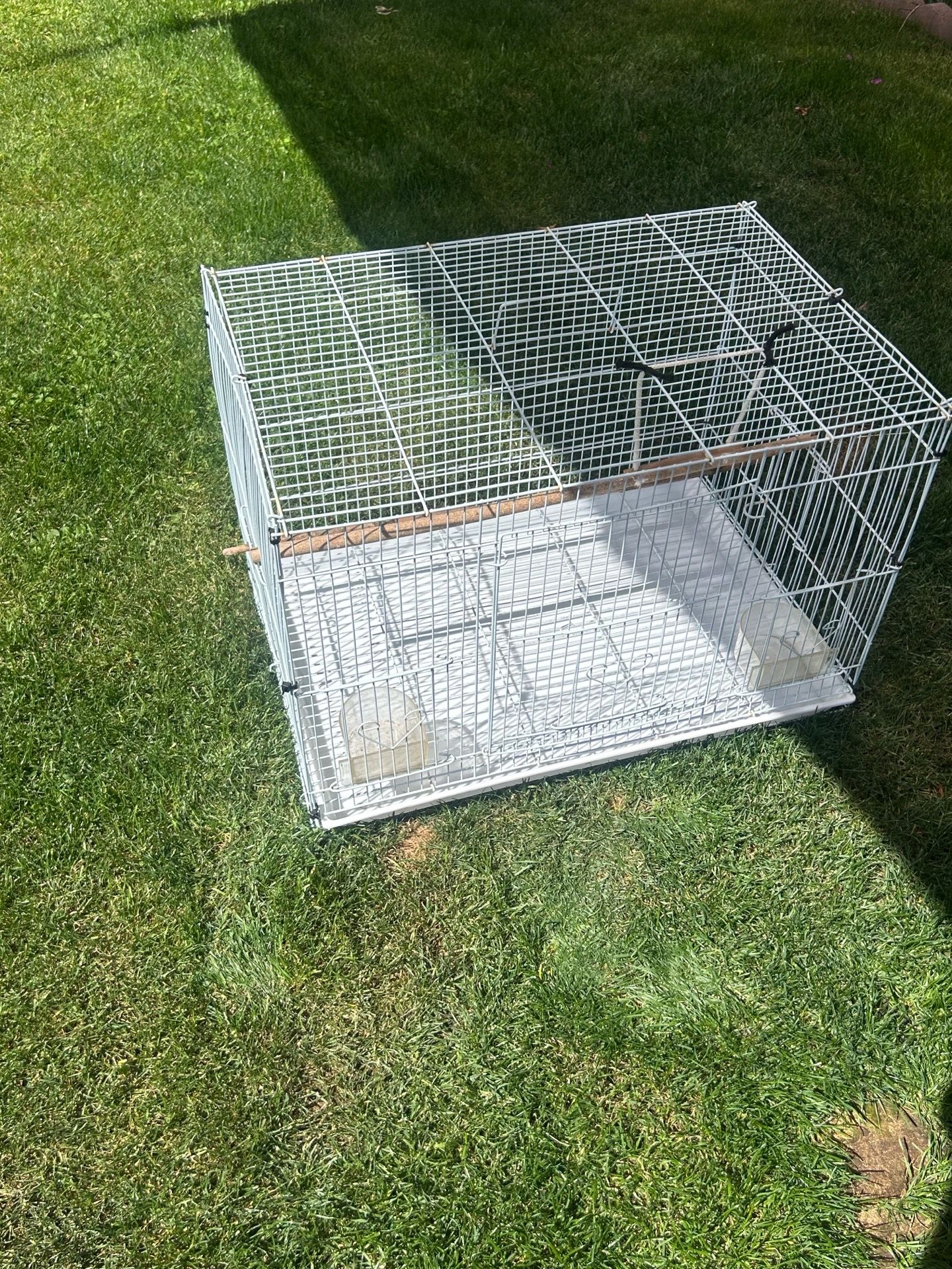 Bird Cage