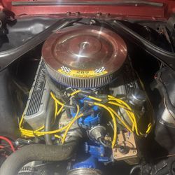 Ford 302/5.0