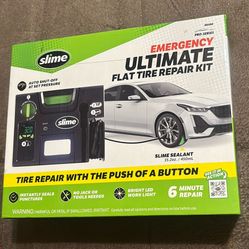 Flat Tire Repair Kit 