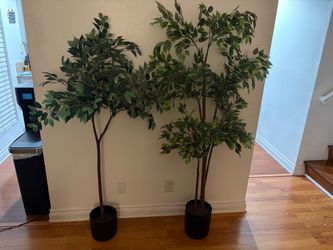 2 tall, Potted Silk Plants