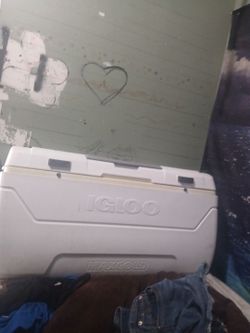 Big igloo max cold ice chest