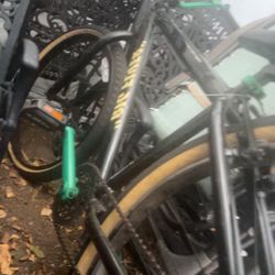 big flyer SE bike 29inch