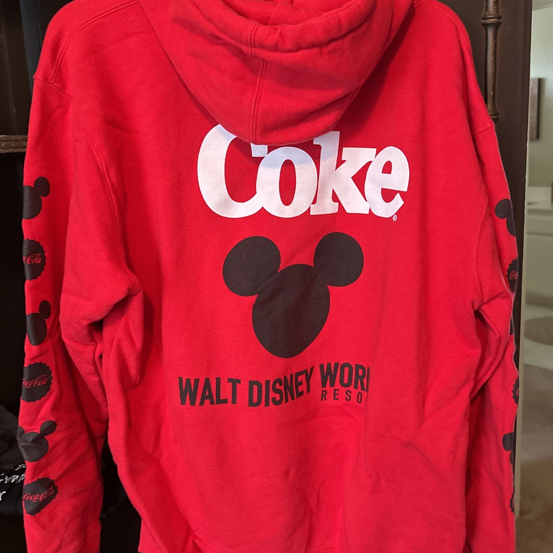 Walt Disney World, thick hooded sweatshirt