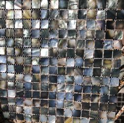 Black Lip Natural Mother of Pearl Tile 