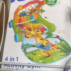 4 In 1 Activity Gym And Walker 