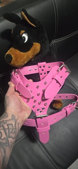 Dog Harness
