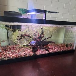 30 Gallon Fish Tank - Completed Set Up, No Fish