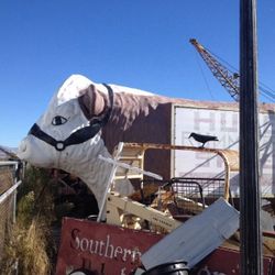 I Want to buy crazy stuff like this if you have something let me know or if you know someone that does let me know and I'll give you a finders fee