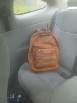 Men's coach backpack