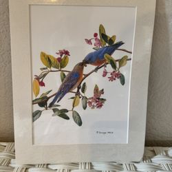 Eastern Bluebird Print 