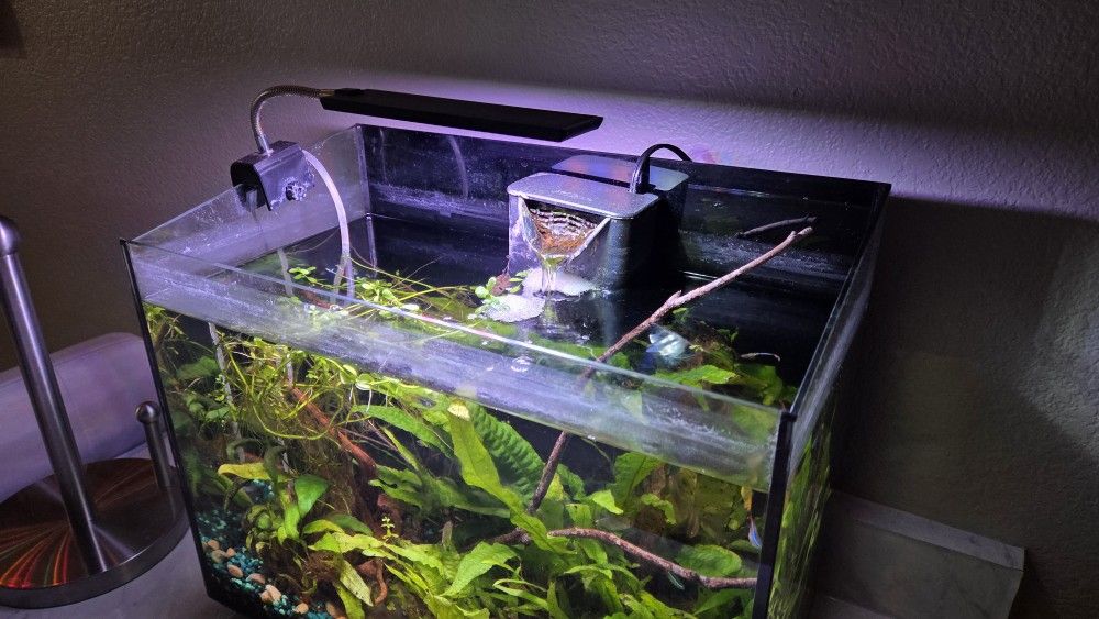 Aquarium Light for small tanks