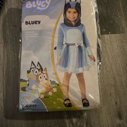 Bluey Girl Costume 