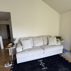 Brand New Couch
